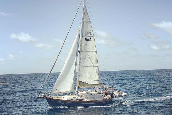 Simply Sailing Private Sail from Sapphire Marina - Key highlights you will actually care about