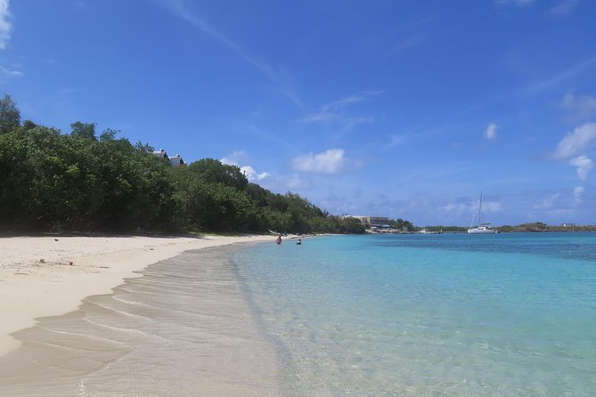 Small Group Sea Turtle Tour (Guaranteed to see turtles) - Small-Group Snorkeling in St Thomas: Why It Feels Personal
