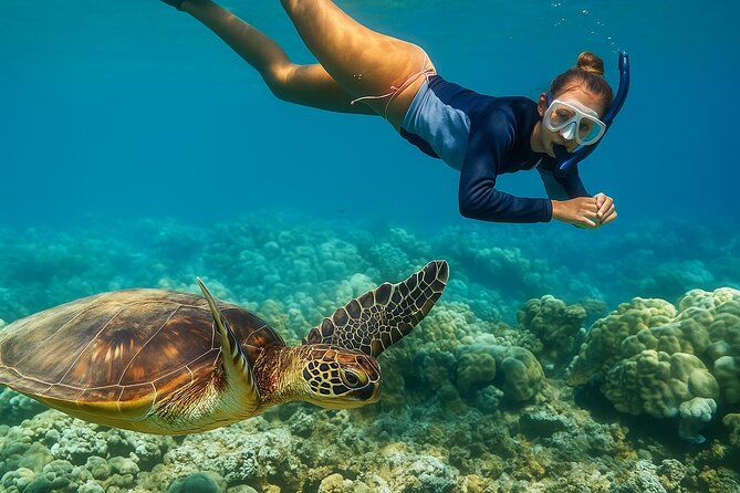 Snorkel and Sunset Cruise from Margaritaville Resort - The Big Idea: Reef Time Plus a Sunset Cruise in St Thomas
