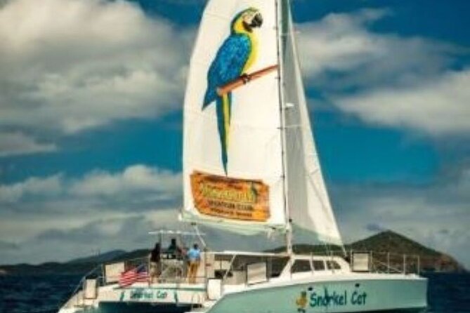 Snorkel Cat All Inclusive Adventure - Snorkel gear included, and what that changes for first-time snorkelers