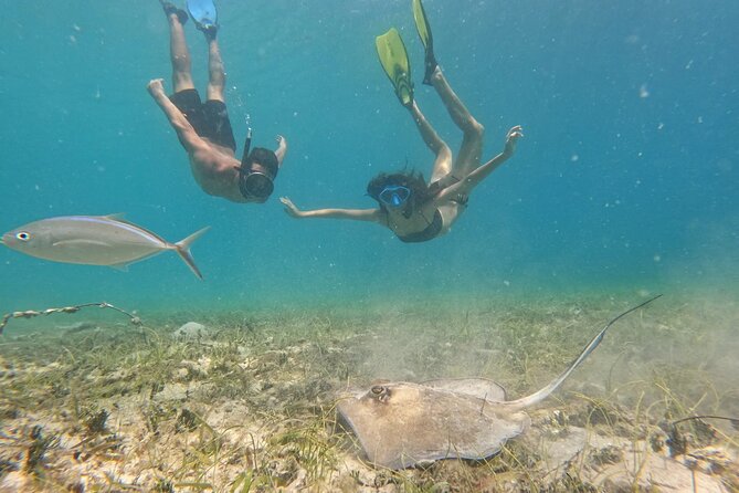 Snorkel St. John Tour from Sapphire and Margaritaville - Snorkeling St. John By Powerboat, With a Real Itinerary
