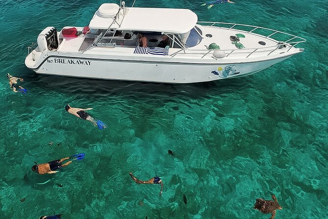 Snorkel St. John Tour from Sapphire and Margaritaville - Lunch, Open Bar, and the Midday Reset You’ll Appreciate