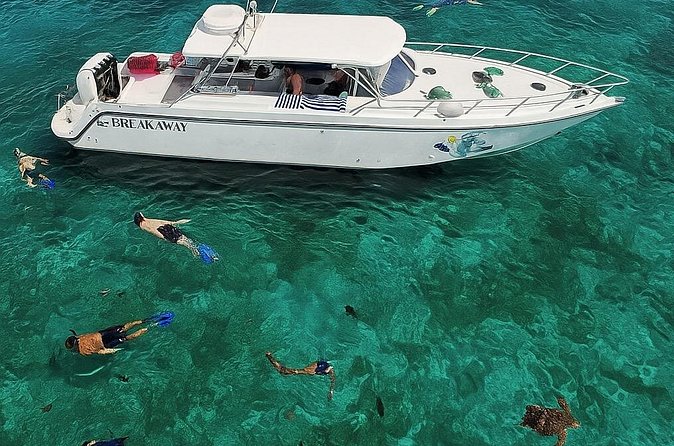 Snorkel St. John Tour from Sapphire and Margaritaville - What It Feels Like On the Water: Pacing, Group Size, and Crowds