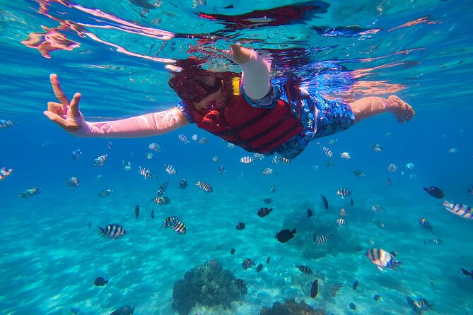 Snorkel St. John Tour from Sapphire and Margaritaville - Price and Value: What You Get for About $180
