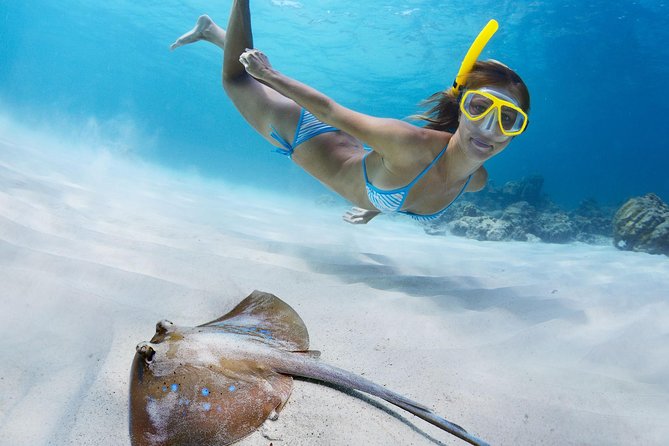 Snorkel & Swim with Turtles. Semi Private Tour to Buck Island & Honeymoon Beach - Buck Island Reef Time: Turtle Cove or Brewers Bay
