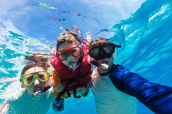 Snorkel & Swim with Turtles. Semi Private Tour to Buck Island & Honeymoon Beach - Price and Value: Is $160 Worth It?