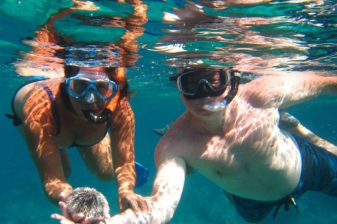 Snorkel Tour - Key Highlights You’ll Want to Know