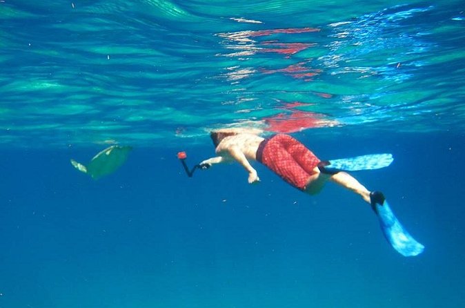 Snorkel Tour - The Boat Ride on the 32ft Ocean Express, Plus Group Size
