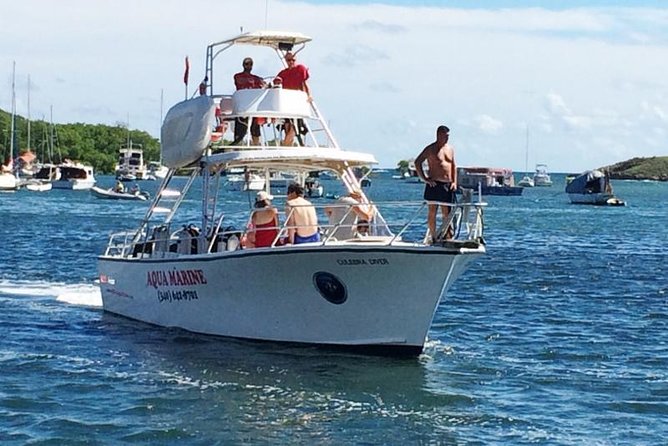Snorkeling Adventure in St Thomas - Getting Started at Aqua Marine, and What You Need to Bring