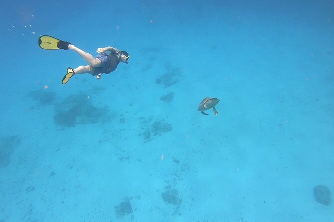 Snorkeling Gear Rental - What you actually get: mask, dry snorkel, and fins (with real-world comfort)