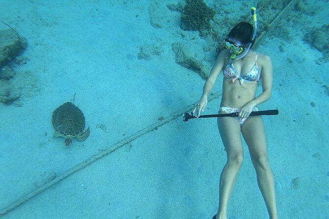 Snorkeling Gear Rental - Timing details that help you avoid headaches