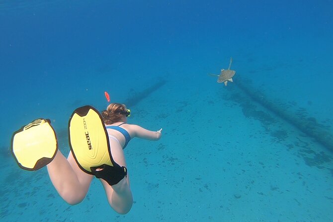 Snorkeling Gear Rental - Who this snorkeling gear rental suits best