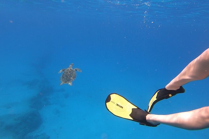 Snorkeling Gear Rental - Delivery and pickup: the part that saves your vacation energy