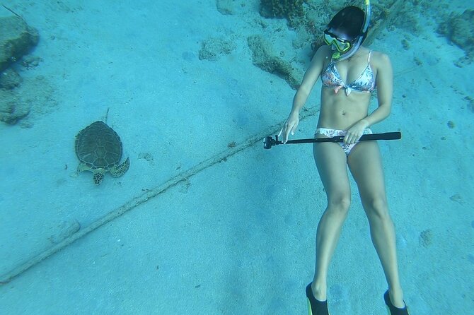 Snorkeling with Sea Turtles - Key Things to Know Before You Go