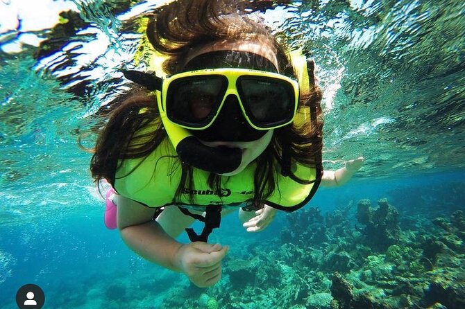 Snorkeling with Sea Turtles - How the 90 Minutes of Snorkel Fits Your Day