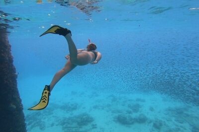 Snorkeling with Sea Turtles