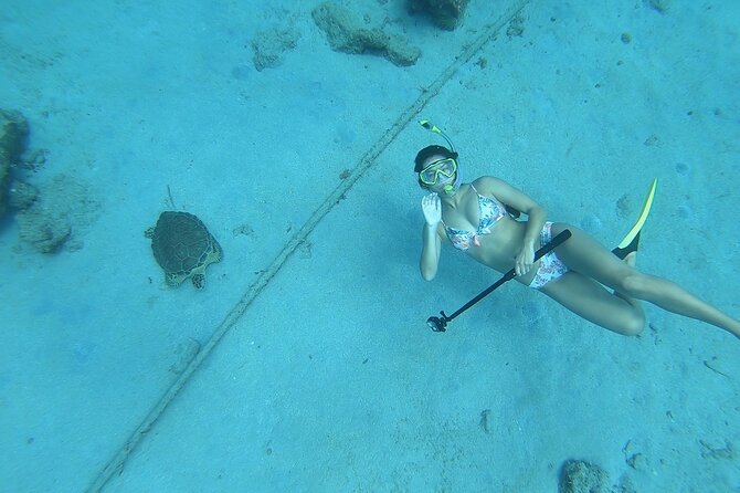 Snorkeling with Sea Turtles - Water Conditions That Can Change Your Comfort