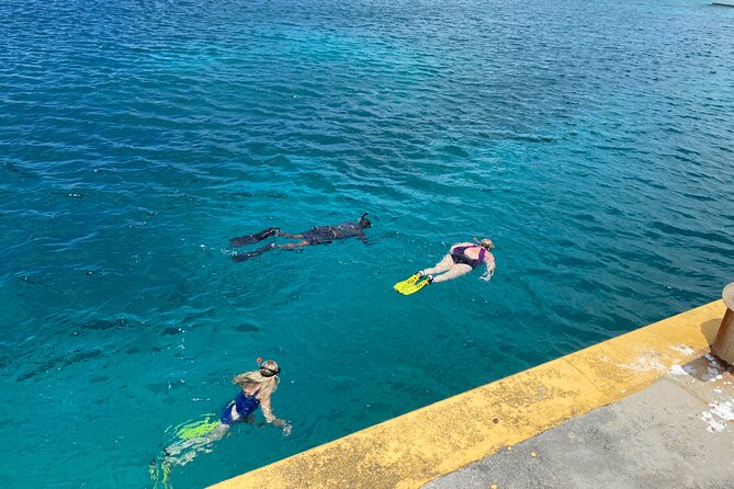 Snorkeling with Sea Turtles - Kayaks, Paddle Boards, and Beach Floats: The Value Bonus