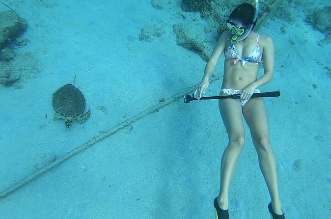 Snorkeling with Sea Turtles - Jet Skis Available Nearby, But Not Included