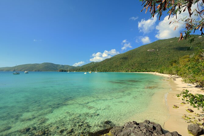 Snorkeling with Sea Turtles at St. Thomas - What You’ll See Underwater: Turtles Plus a Whole Mix of Sea Life