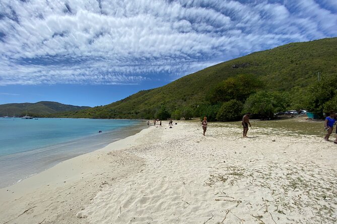 Snorkeling with Sea Turtles at St. Thomas - The Guide Makes the Difference (DJ, Paul, BJ, TJ, and the Rest)