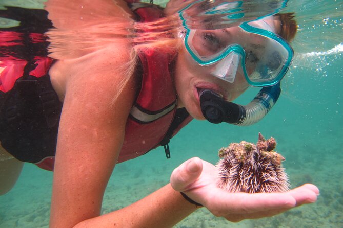 Snorkeling with Sea Turtles at St. Thomas - The 2-Hour Plan, From Meeting Point to Beach Photos