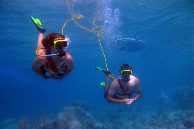 Snuba Adventure at Coral World Ocean Park - Snuba at Coral World, St Thomas: why Coki Point is the right kind of easy