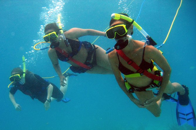Snuba Adventure at Coral World Ocean Park - Your 1.5-hour flow: how the time usually works