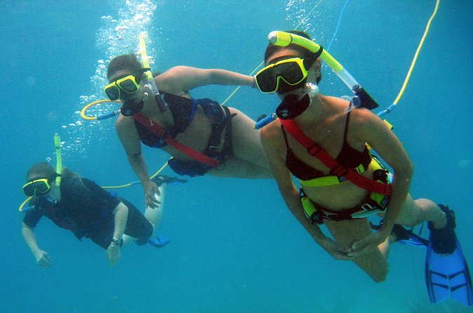 Snuba Adventure at Coral World Ocean Park - Going over the edge without the certification pressure
