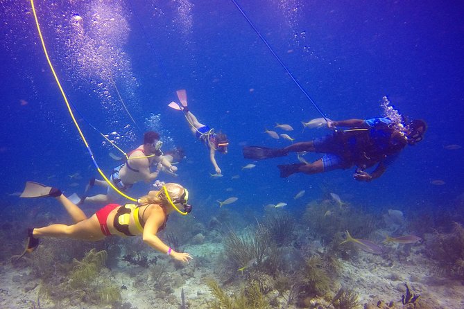 Snuba Adventure at Coral World Ocean Park - What you actually see underwater: coral, reef fish, and close-up moments