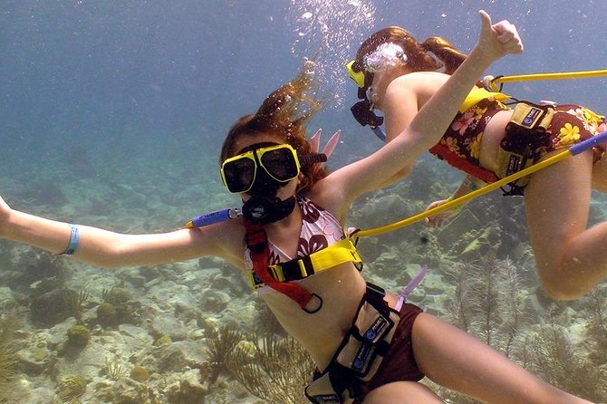 Snuba Adventure at Coral World Ocean Park - Getting there and what to plan for before you meet the guide