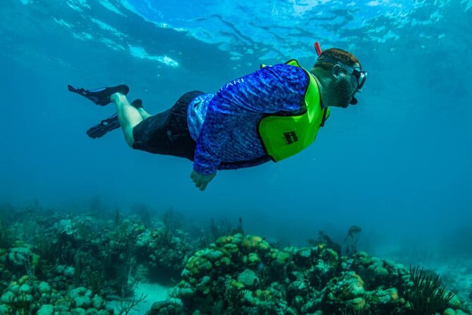 St. James Snorkel & Pizza Pi Lunch - Two Reef Stops in the St. Thomas East End Reserves
