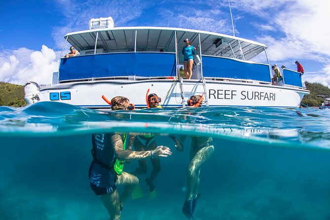 St. James Snorkel & Pizza Pi Lunch - Little St James Snorkel: Coral Reefs and a Calm Start