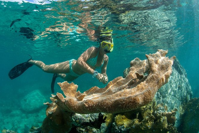 St. John Full-Day Lime Out Snorkel Taco Lunch & Open Bar - Westin - Breakfast plus sailing: why this schedule starts strong