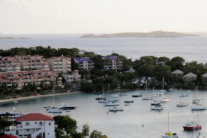 St John Island and Trunk Bay Beach Tour - The Big Picture: What This Half-Day on St John Really Delivers