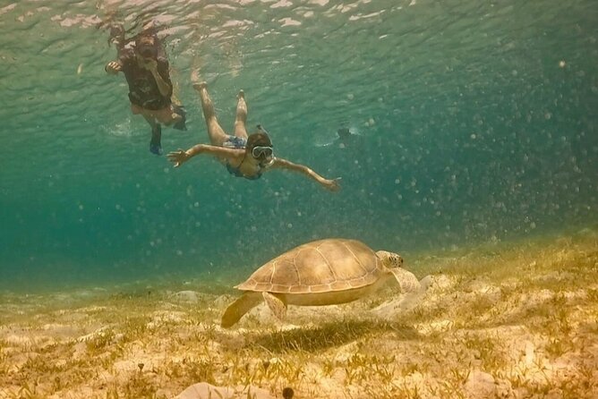 St John -Jeep Ride with A Guide! Customize Itinerary Your Way! - Stop 3: Maho Bay for Cocktails and a Water Break