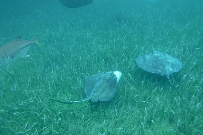 St John & Surrounding Cays - Full-Day Sail/Snorkel, 6 Guests Max - Snorkeling stops: what you might see and why the crew picks sites