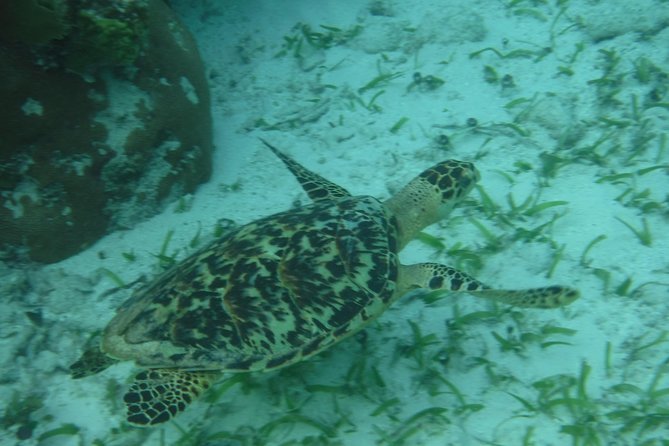 St John & Surrounding Cays - Full-Day Sail/Snorkel, 6 Guests Max - The open bar, the pace, and why the sailing can feel surprisingly relaxed