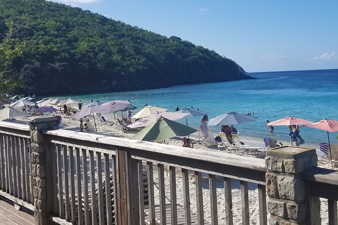 St Thomas Full Day Private Tour (1-10 PPL) - Sapphire Beach and Coki Point: Beach Relaxing vs Snorkel-Friendly Water