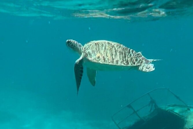 St Thomas - Jeep Tour Customized Itinerary 5hrs - Magens Bay, beach hopping, and when snorkeling fits the plan