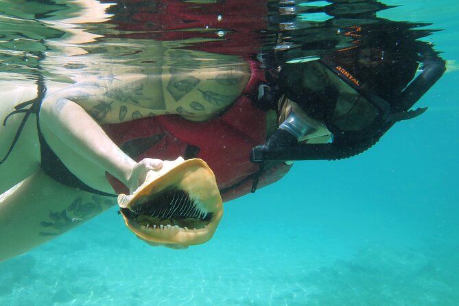 St Thomas Kayak and Sea Turtle Snorkel Excursion - Tandem kayaks and coaching, even for first-timers