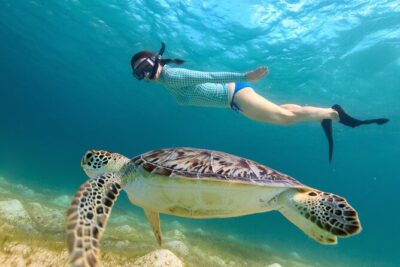 St. Thomas Maho Bay Turtle Snorkel Sail – Ritz-Carlton