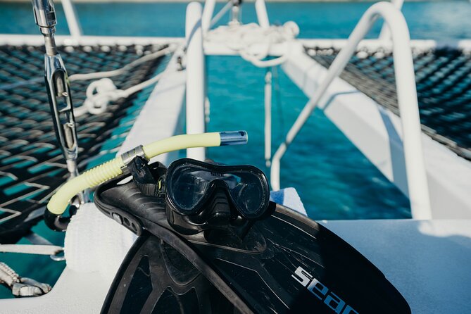 St. Thomas Maho Bay Turtle Snorkel Sail - Ritz-Carlton - Honeymoon Beach Snorkel Stop, Second Chance at Sea Life