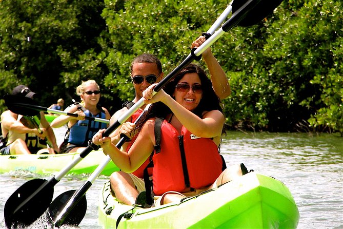St Thomas Mangrove Lagoon Kayak and Snorkel Tour in the US Virgin Islands - Mangrove Lagoon, Why This Kayak and Snorkel Beats the Usual Swim