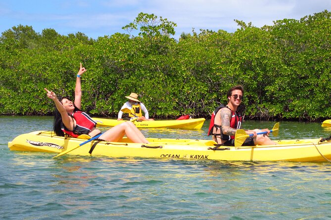 St Thomas Mangrove Lagoon Kayak and Snorkel Tour in the US Virgin Islands - The 2.5-Hour Rhythm: Kayak Out, Snorkel, Paddle Back