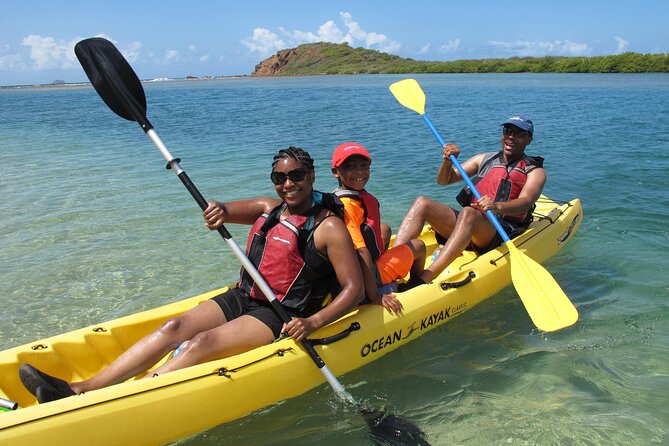 St Thomas Mangrove Lagoon Kayak and Snorkel Tour in the US Virgin Islands - Cas Cay Option: A Deserted Island Hike Without the Full Day Commitment