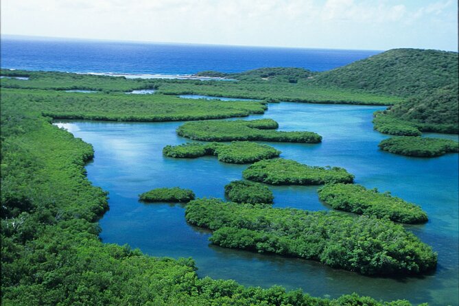 St Thomas Mangrove Lagoon Kayak and Snorkel Tour in the US Virgin Islands - Guides Matter: When Brooke, Kaz, Freddy, and TeQuan Lead the Day