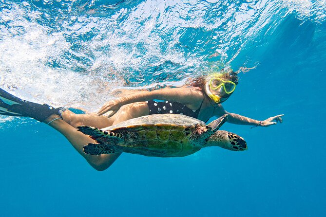St Thomas Mangrove Lagoon Kayak and Snorkel Tour in the US Virgin Islands - Price and Value: Is $89 Worth It in St Thomas?