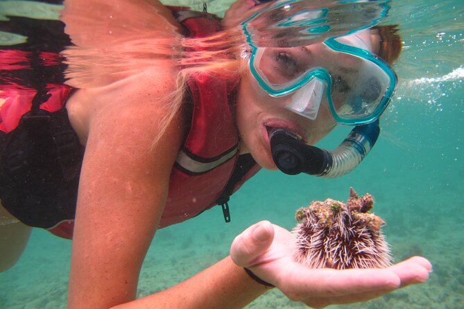 St Thomas Mangrove Lagoon Kayak and Snorkel Tour in the US Virgin Islands - From Patricia Cay to Long Point: How the Lagoon Paddle Feels