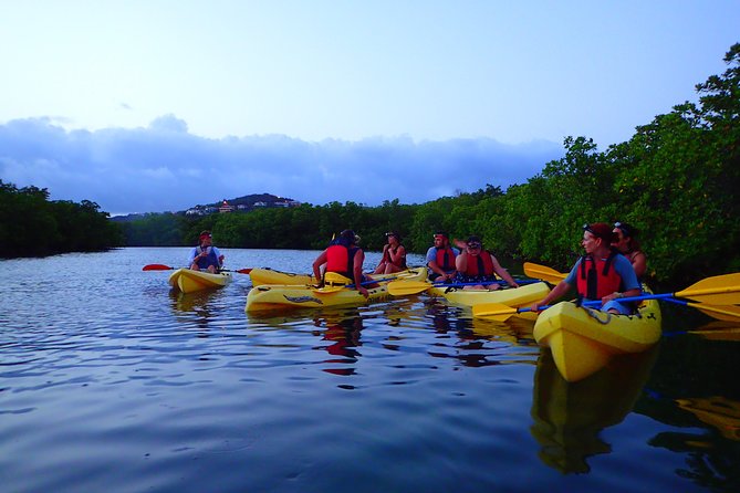 St Thomas Night Kayak Tour - Why Night Kayaking in Mangrove Lagoon Feels Like a Different Vacation